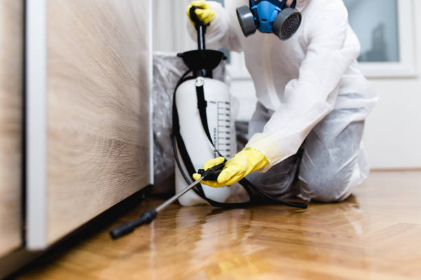 Pest Control Cost in Lamar, SC