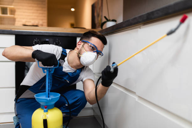 Best Pest Control Treatment  in Lamar, SC