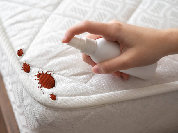 Professional Pest Control in Lamar, SC